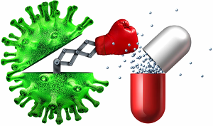 effect of antibiotics