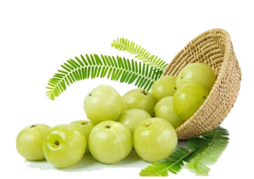 health