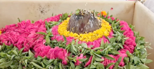 Sawan Special