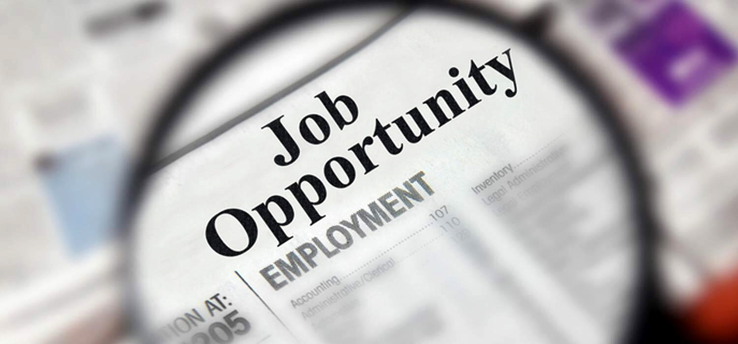 JOB opportunity