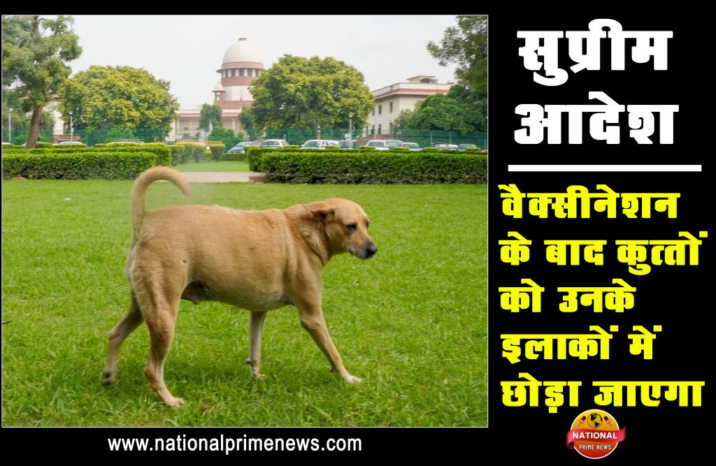 Supreme Court : Big decision of the Supreme Court, dogs will be released in their areas after vaccination