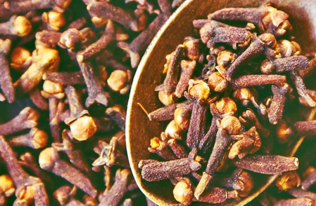 Clove Remedy: Astrology Tip for Success When Leaving Home