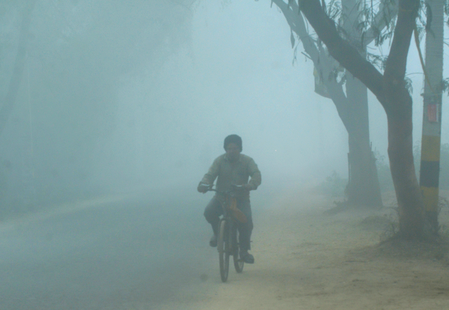 Bihar Cold Wave: Dense Fog, Chilling Winds, No Relief Expected