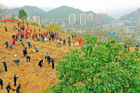 China Green Growth sets global record with fastest forest expansion, adding 185 million mu under its green development strategy.