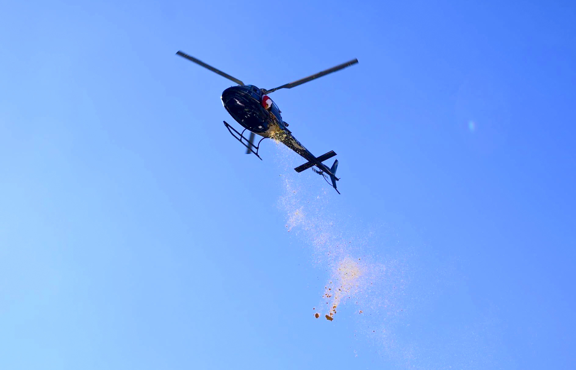 Badrinath Temple Opens: Sacred Portals Open with Vedic Rituals, Marking Char Dham Yatra Start