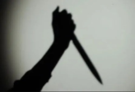 Meerut Knife Attack : Wife Accused of Attacking Husband After Coffee Incident